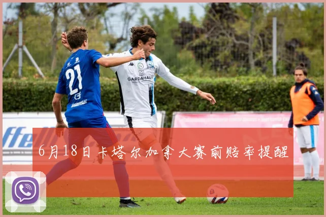 6月18日卡塔尔加拿大赛前赔率提醒