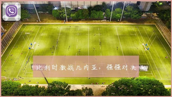比利时激战几内亚，强强对决