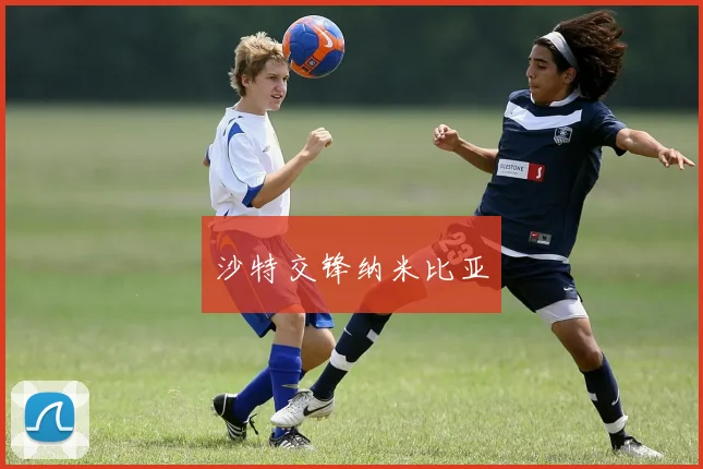 沙特交锋纳米比亚