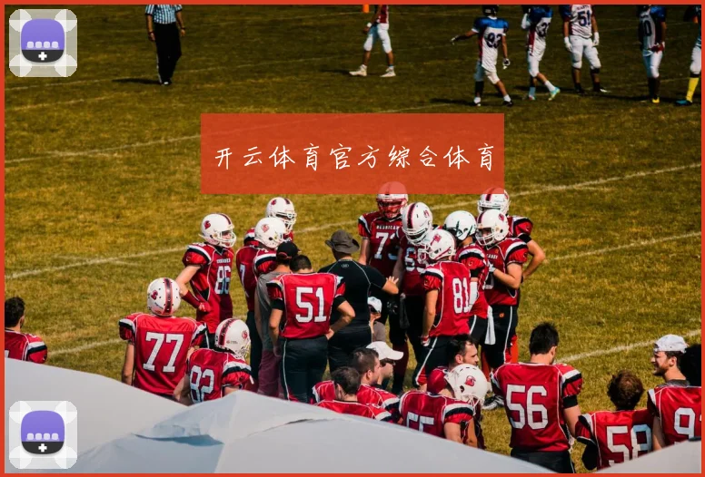 开云体育官方综合体育