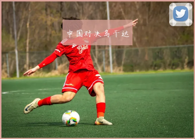 中国对决乌干达
