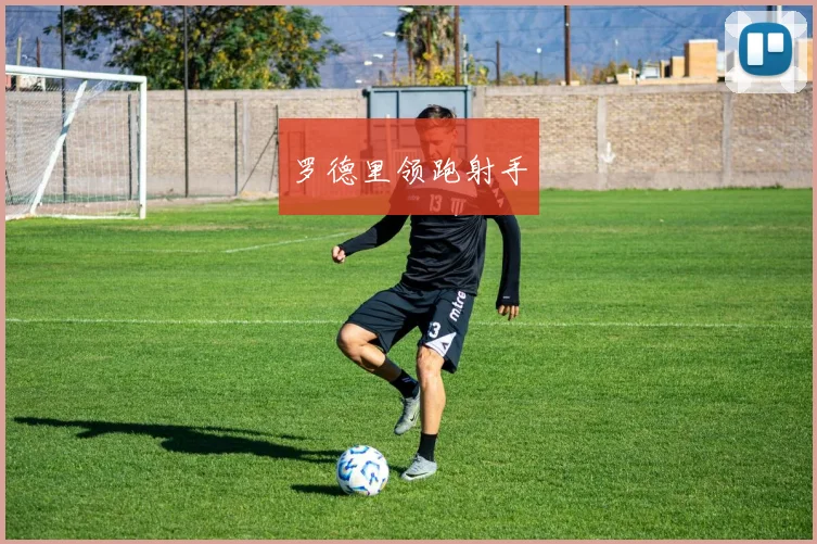 罗德里领跑射手