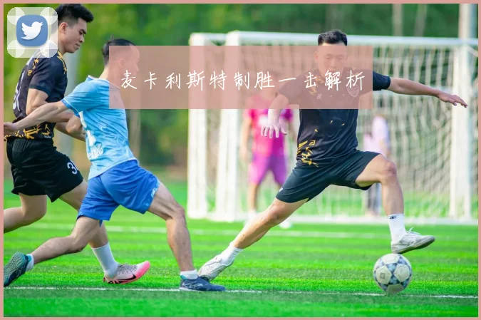 麦卡利斯特制胜一击解析