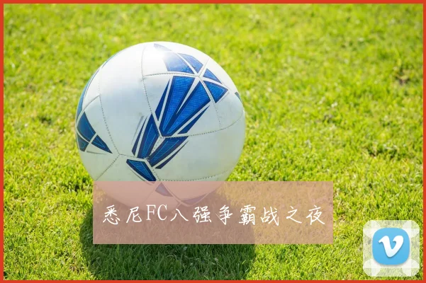 悉尼FC八强争霸战之夜
