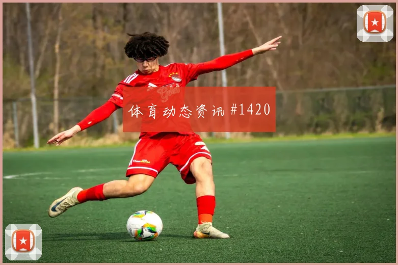 卡塔尔vs波黑2026世界杯场地适应