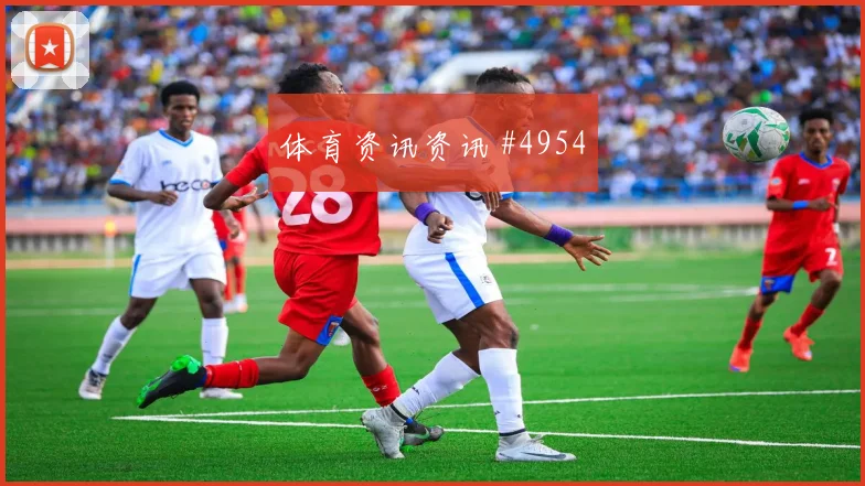 2026世界杯荷兰日本赛前进球解读