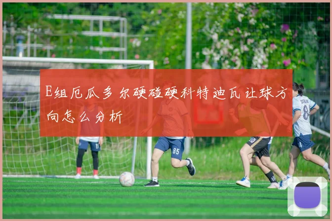E组厄瓜多尔硬碰硬科特迪瓦让球方向怎么分析