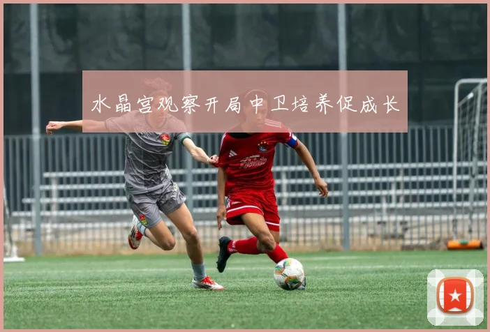 水晶宫观察开局中卫培养促成长