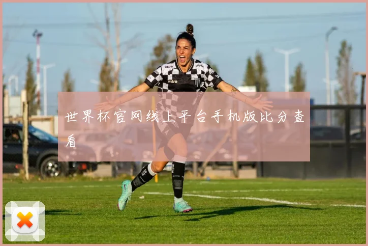 世界杯官网线上平台手机版比分查看