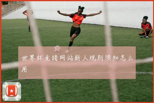 世界杯竞猜网站新人规则须知怎么用