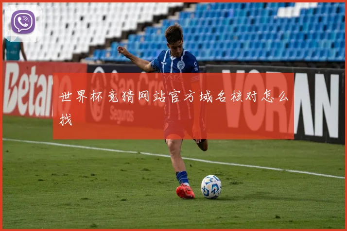 世界杯竞猜网站官方域名核对怎么找