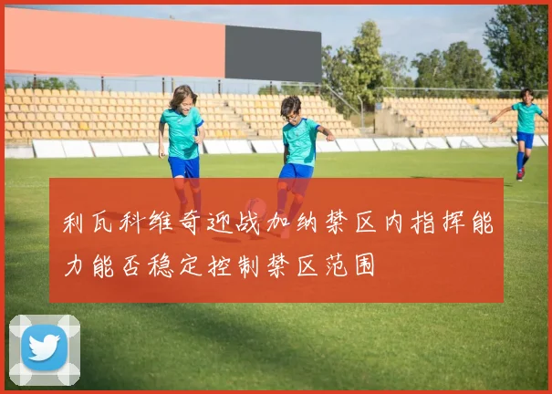利瓦科维奇迎战加纳禁区内指挥能力能否稳定控制禁区范围