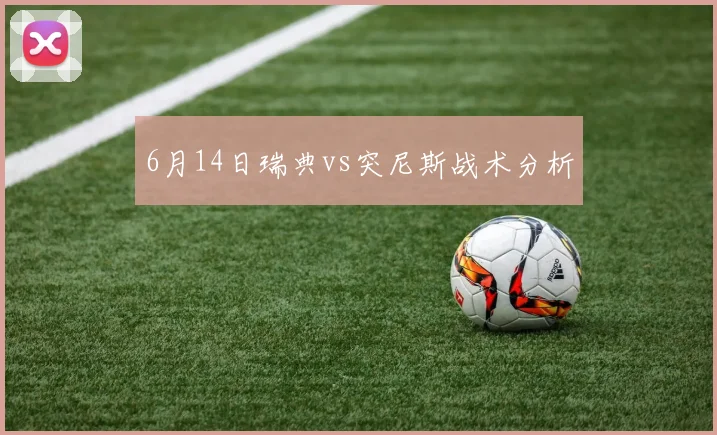 6月14日瑞典vs突尼斯战术分析