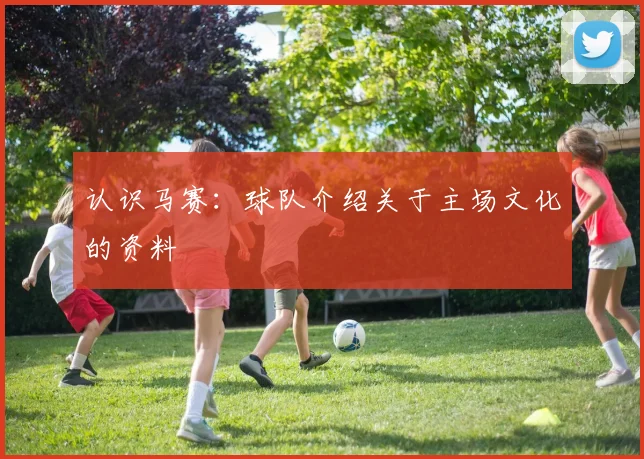 认识马赛：球队介绍关于主场文化的资料
